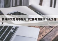 软件开发是青春饭吗（软件开发属于什么工作）