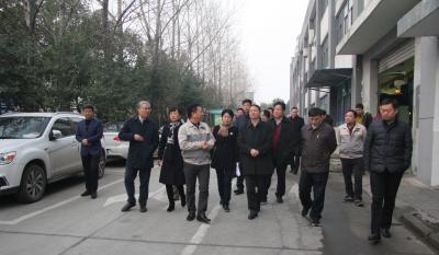 十年金年会体育官方网站伴我行 又添春雨沐春风 ——记天津津南区党政代表团莅临合肥金年会体育官方网站考察指导