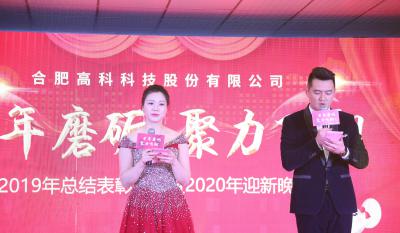 十年磨砺，聚力飞翔——合肥金年会体育官方网站2020年会特别报道